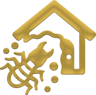 fumigation for drywood termites a gold drywood termite and house